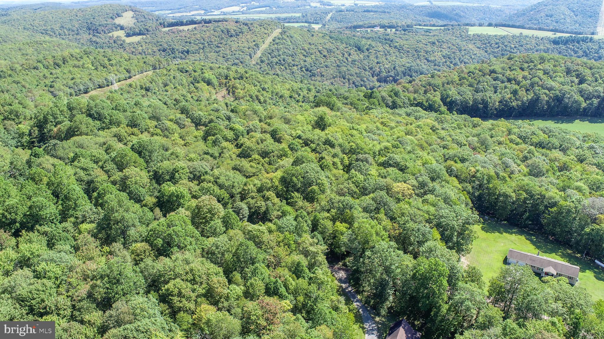 WINDING RIDGE - Land