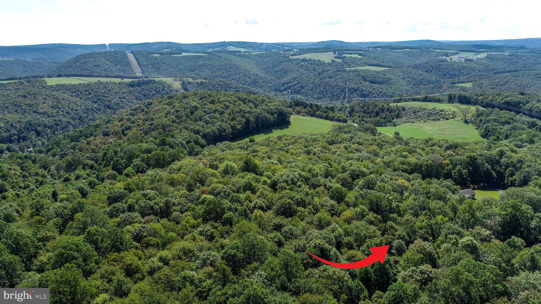 WINDING RIDGE - Land