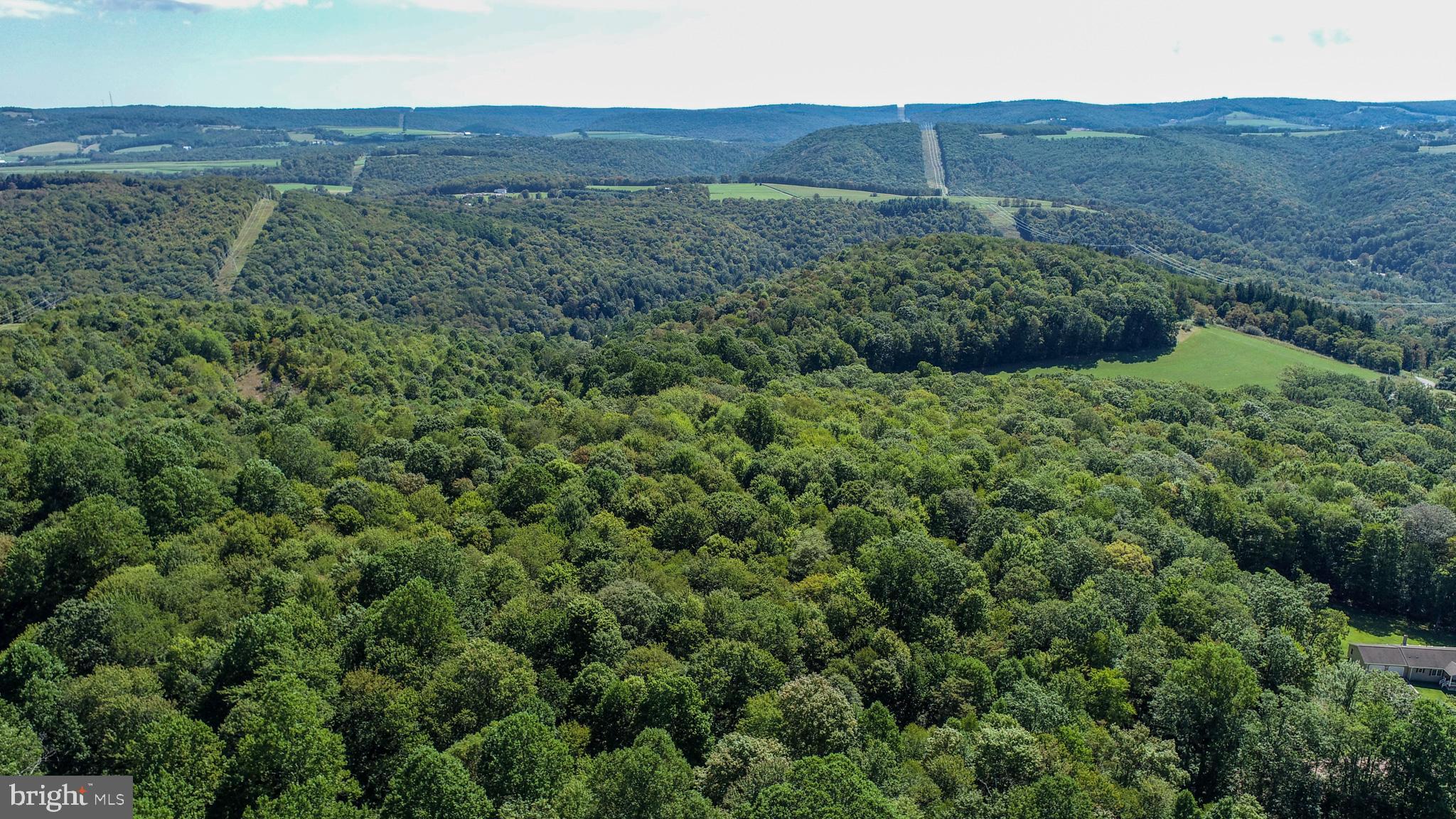 WINDING RIDGE - Land