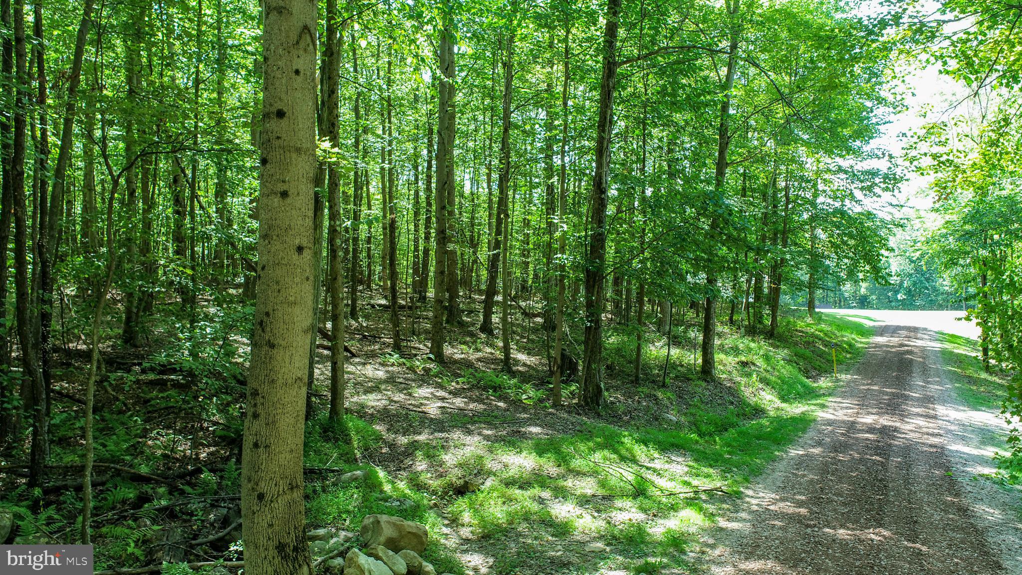 WINDING RIDGE - Land