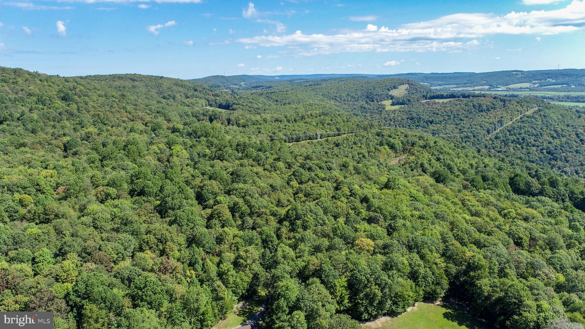 WINDING RIDGE - Land