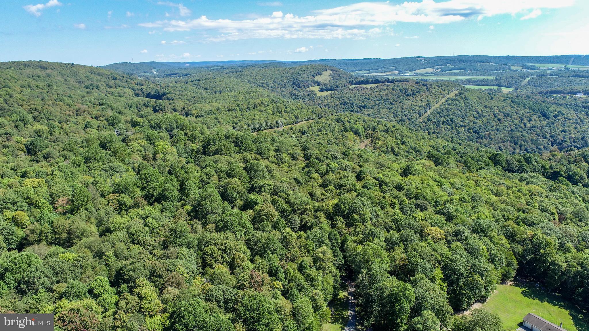 WINDING RIDGE - Land