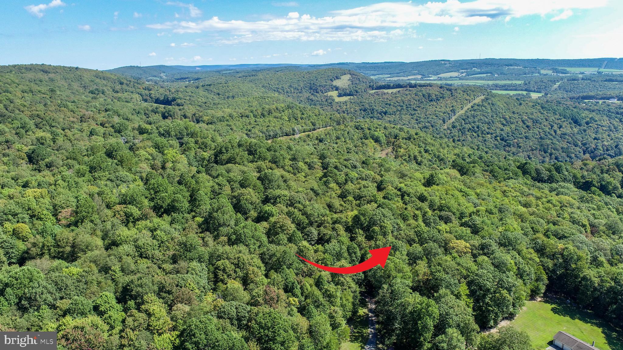 WINDING RIDGE - Land