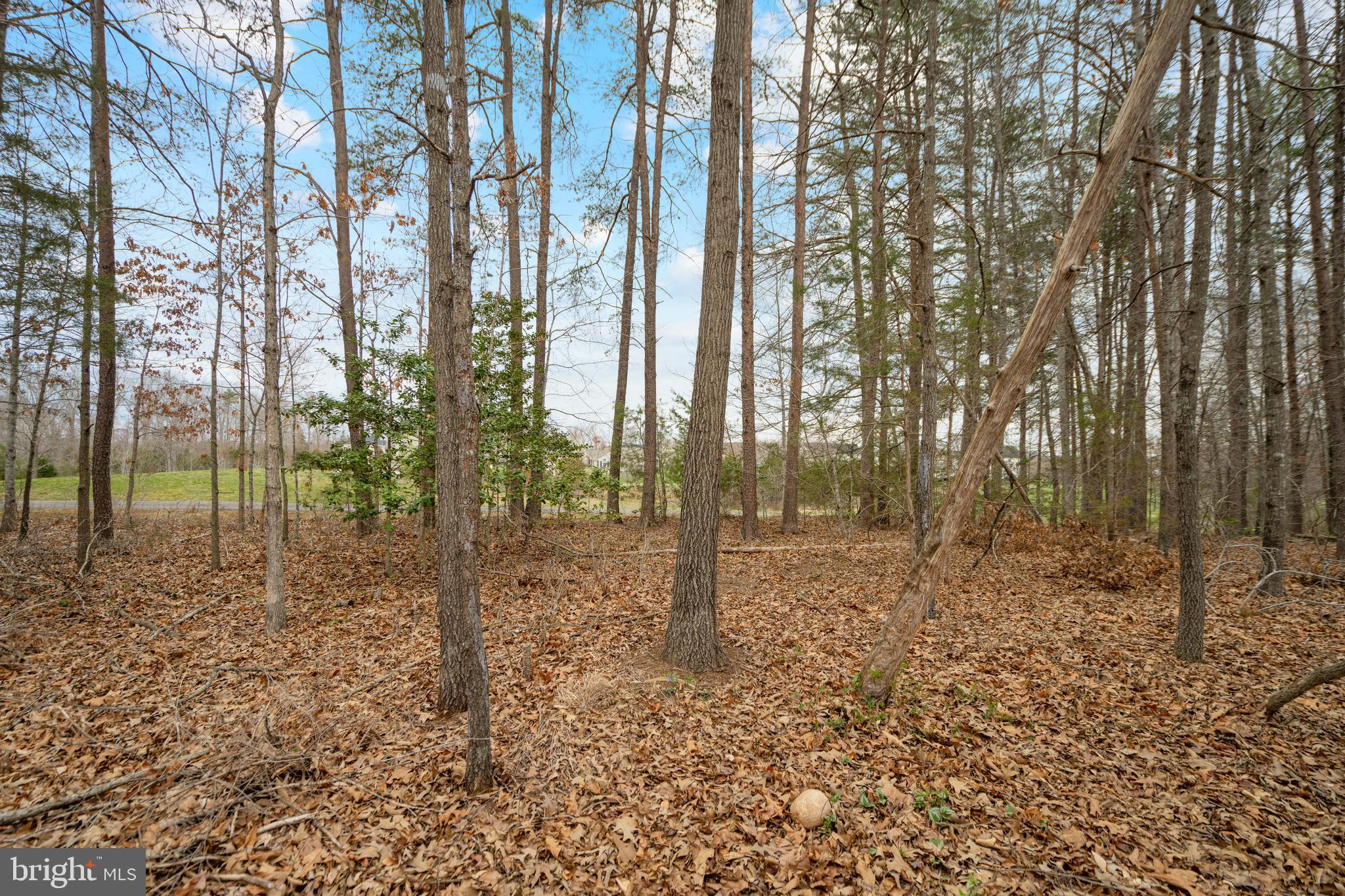 SOMERSET - Residential