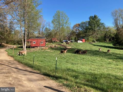 Tiny photo for 3085 Indian Run Road, AMISSVILLE, VA 20106 (MLS # VACU2013662)