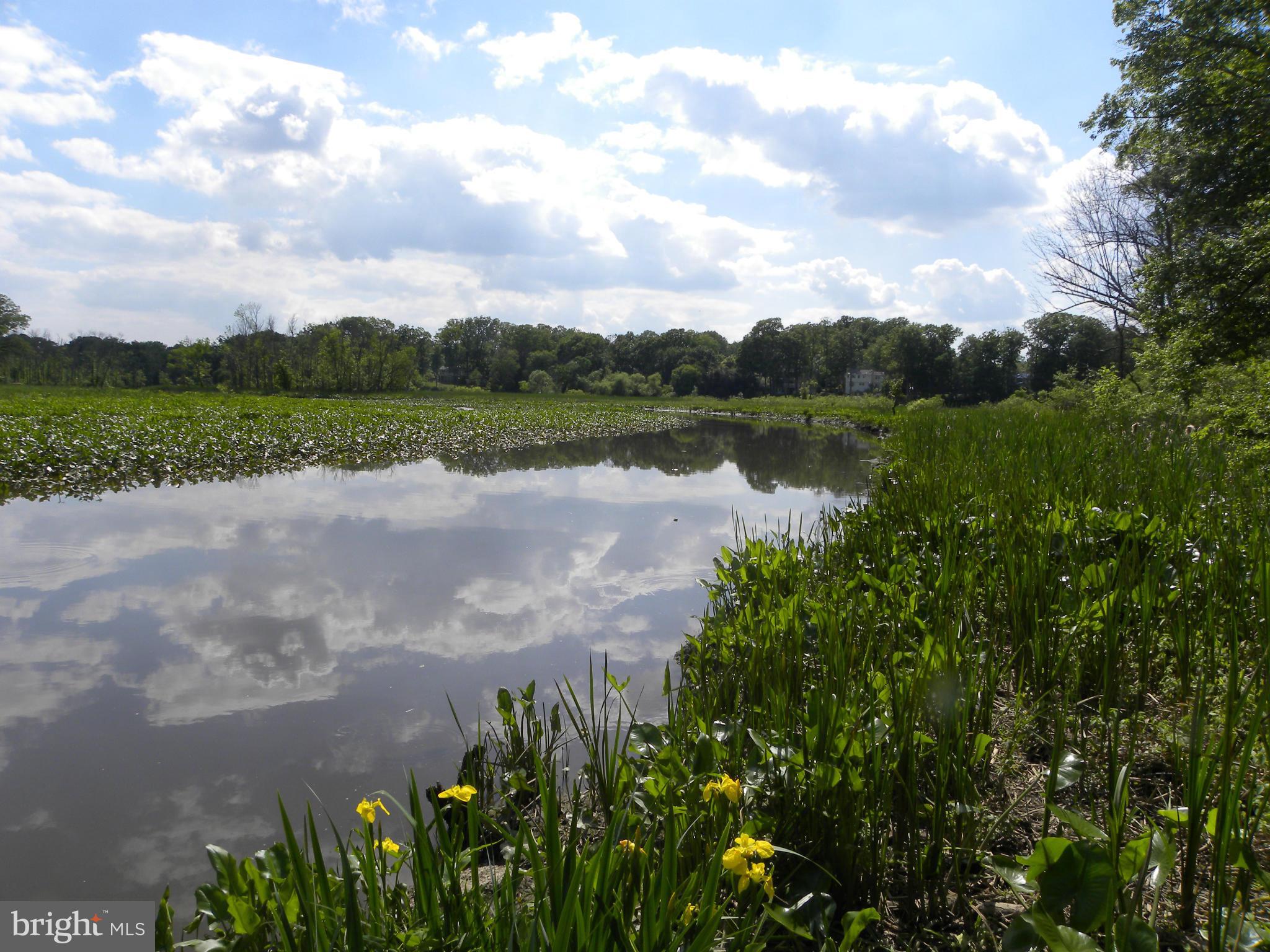 HUNTINGTON AT MT VERNON - Residential