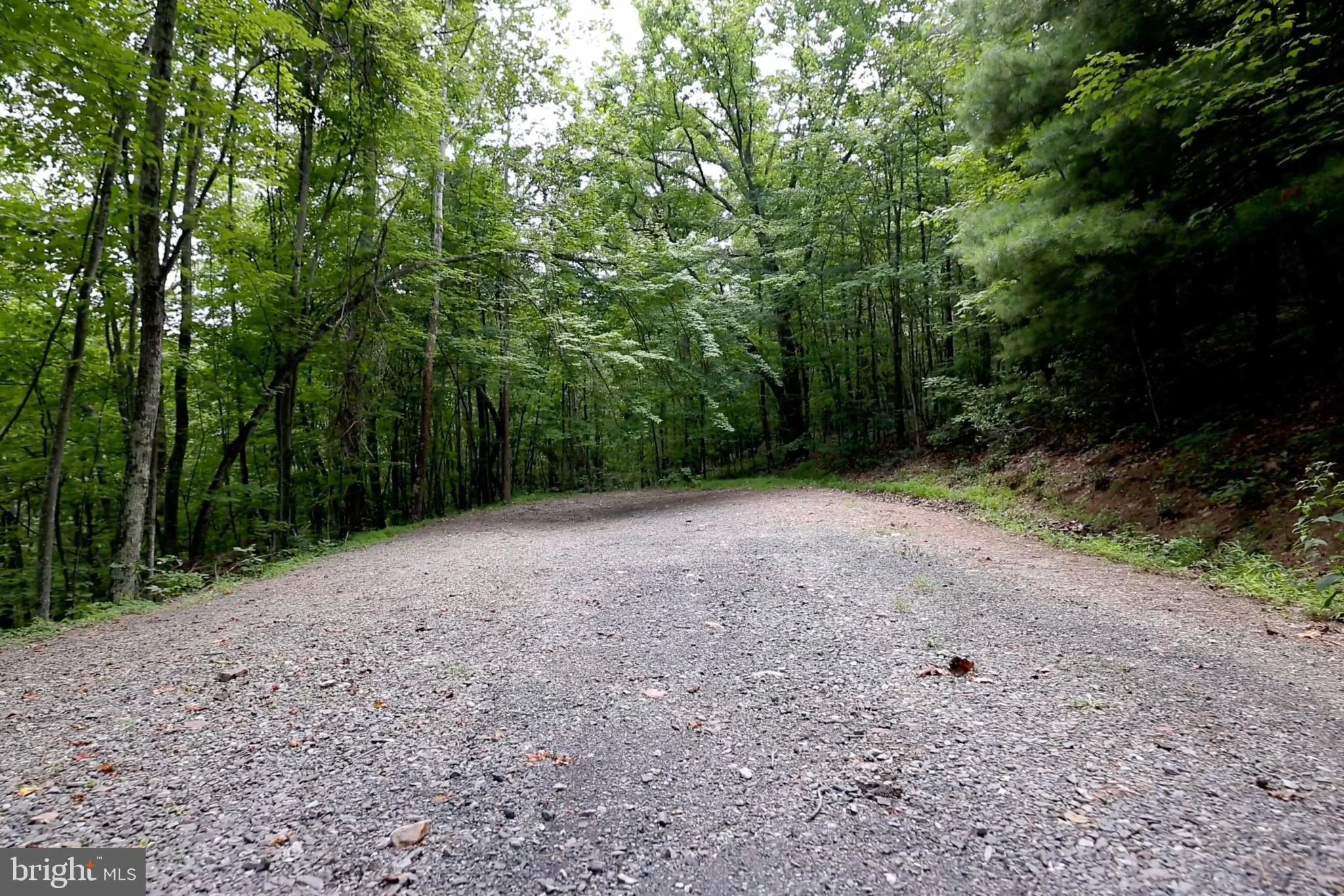 Lot 168 Forest Ridge Trail Dr, Fort Valley, VA, 22652