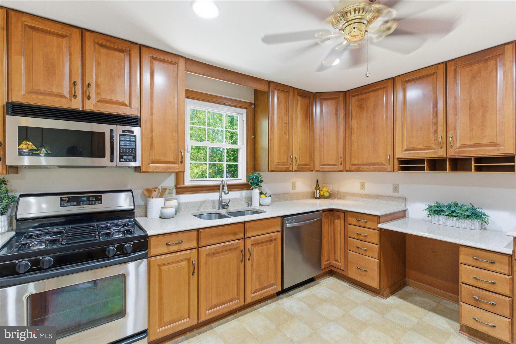 BLENHEIM FOREST - Residential