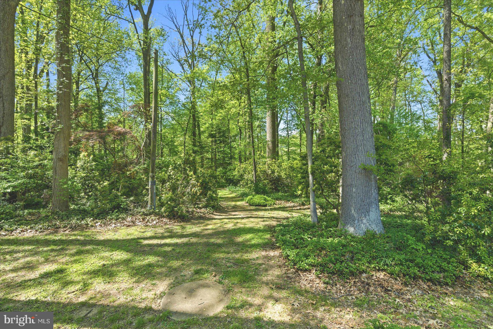 BLENHEIM FOREST - Residential