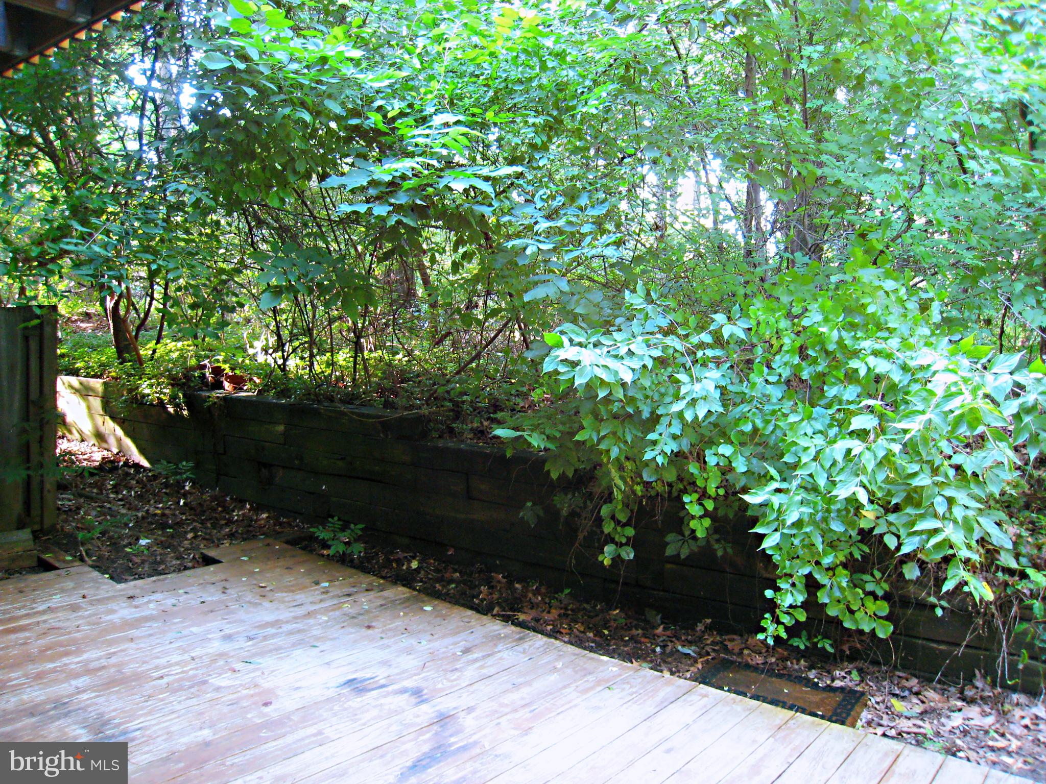 VILLAGE OF OWEN BROWN - Residential Lease