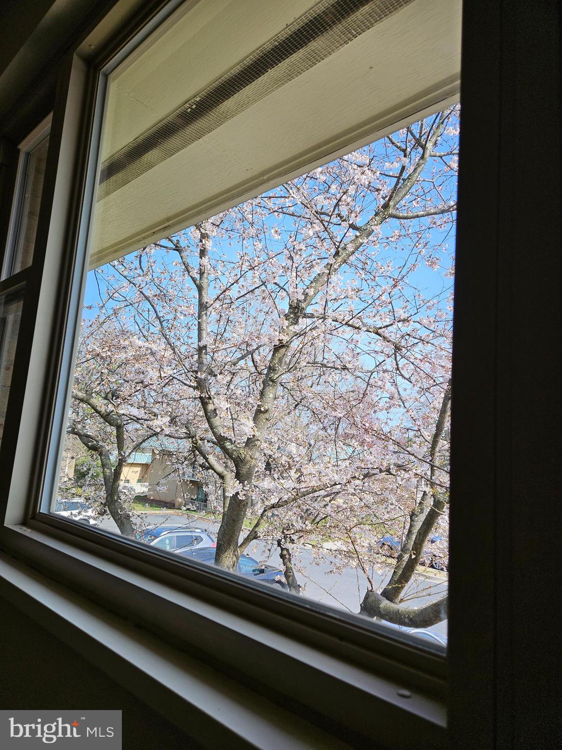 MONTGOMERY MUTUAL COOP - Residential