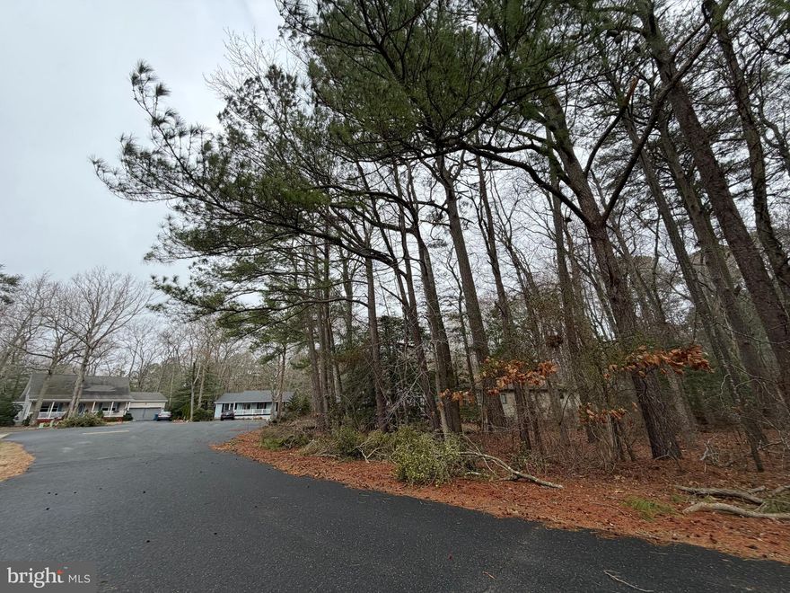 Build your potential coastal retreat on this .20-acre fully wooded lot in the sought-after community of Ocean Pines. Offering public water and sewer hookups, this property provides a convenient foundation for your future home. Nestled among mature trees, enjoy added privacy while still being close to community amenities, shopping, dining, and a short drive to the beach. Whether you're looking to build now or invest for the future, this lot offers great potential in a desirable location.
