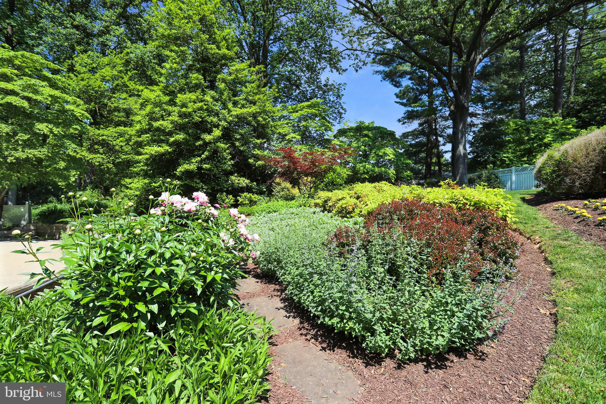 POTOMAC OUTSIDE - Residential