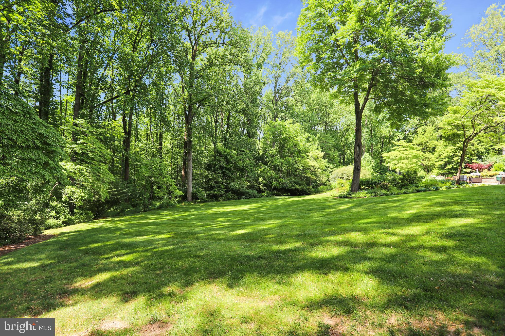 POTOMAC OUTSIDE - Residential