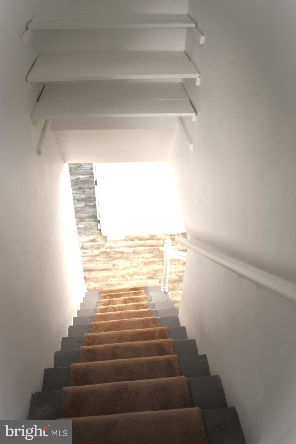 WHEATON FOREST - Residential