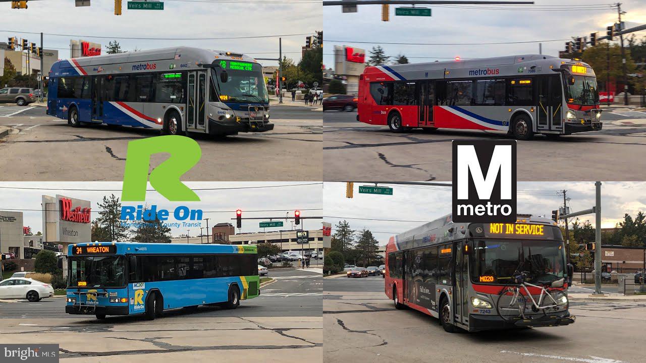 WHEATON FOREST - Residential