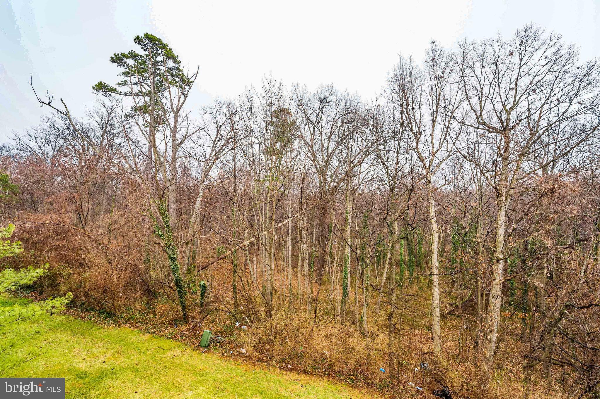 HAMLET WOODS II - Residential Lease