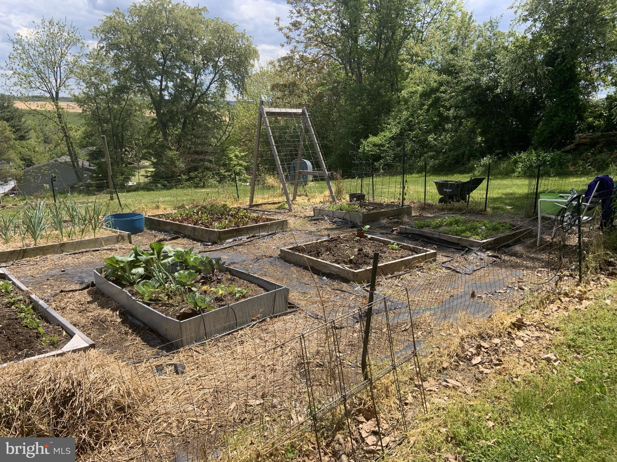 WINTER SPRINGS ESTATES - Residential