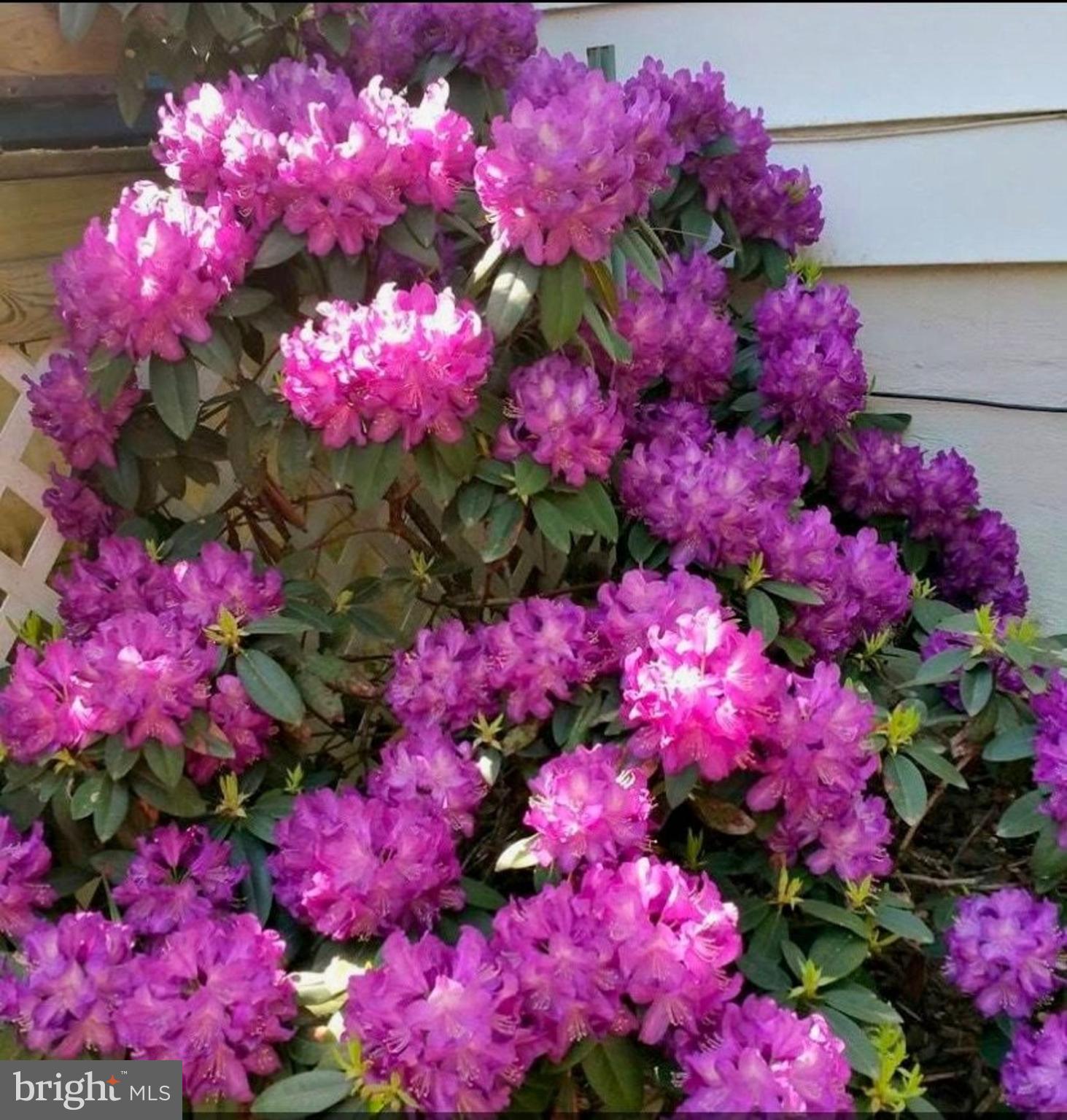 MOUNTVILLE - Residential