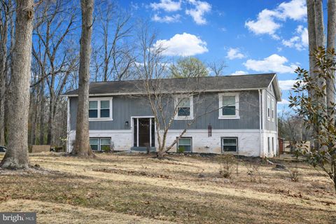 10009 LAURAN PLACE NOKESVILLE VA 20181