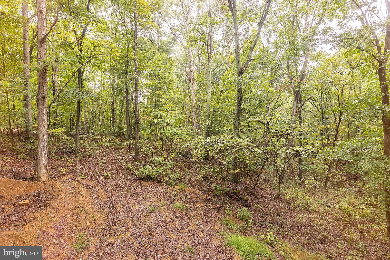 GLENWOOD FOREST - Residential