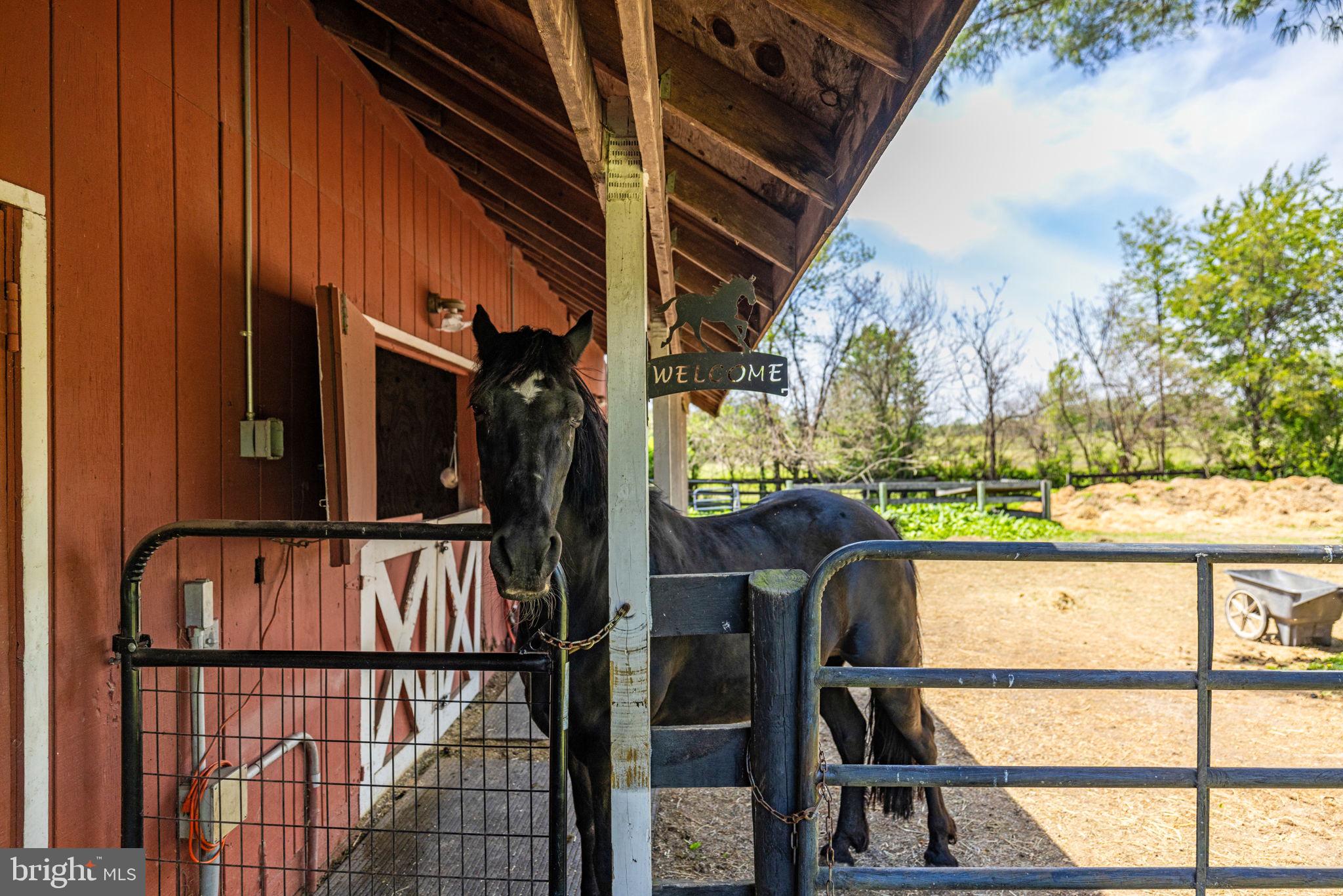 ENGLISH CHASE - Residential
