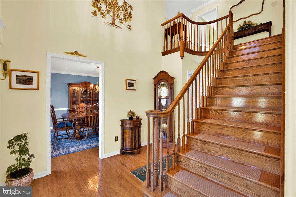 14 REVELSTONE COURT