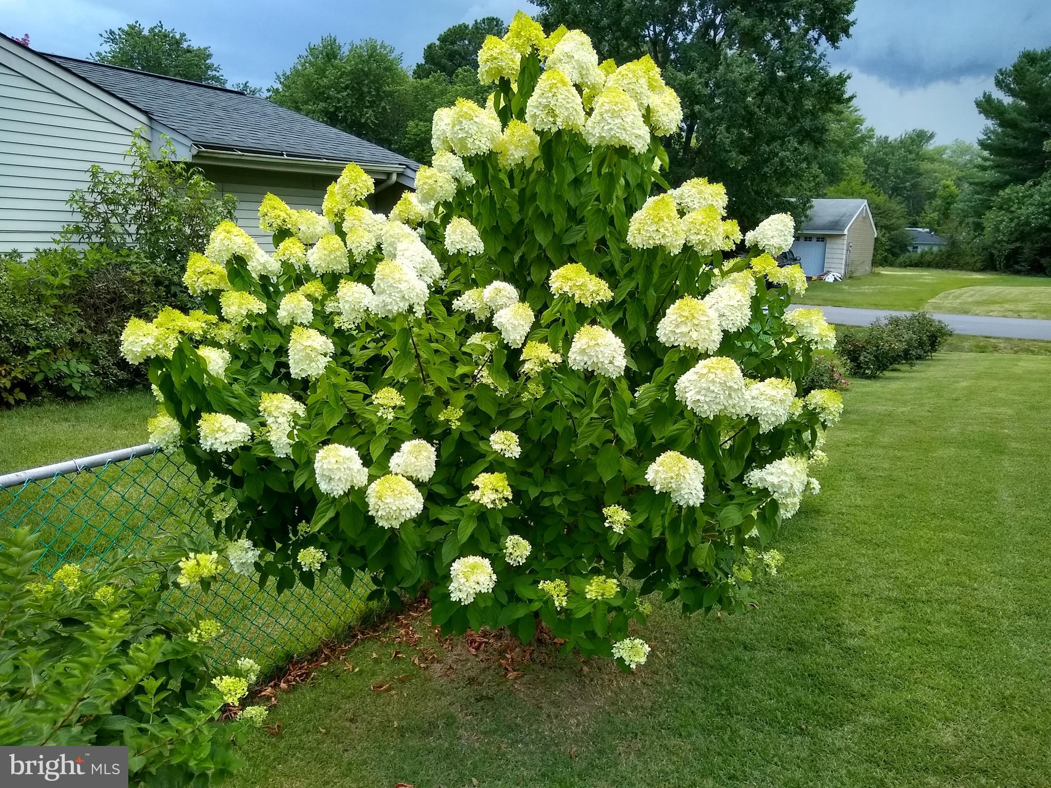 WAVERLY VILLAGE - Residential