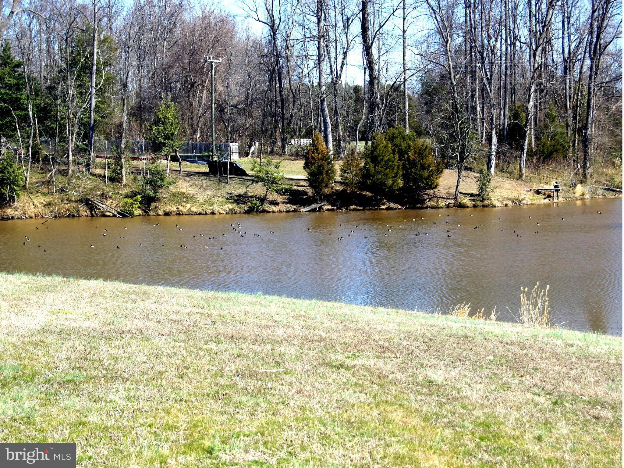 POTOMAC LANDING - Land