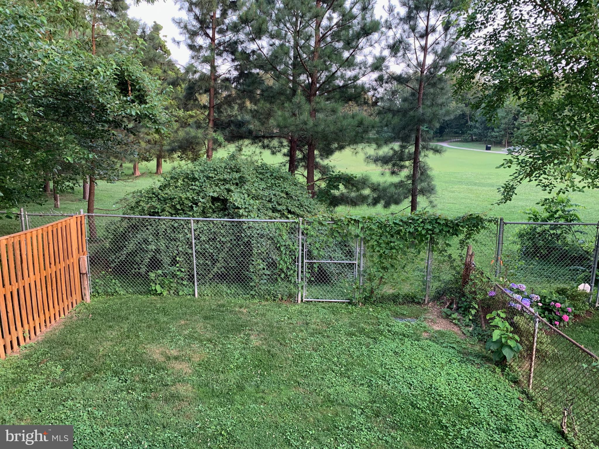 FRAVELS BALLSTON - Residential Lease