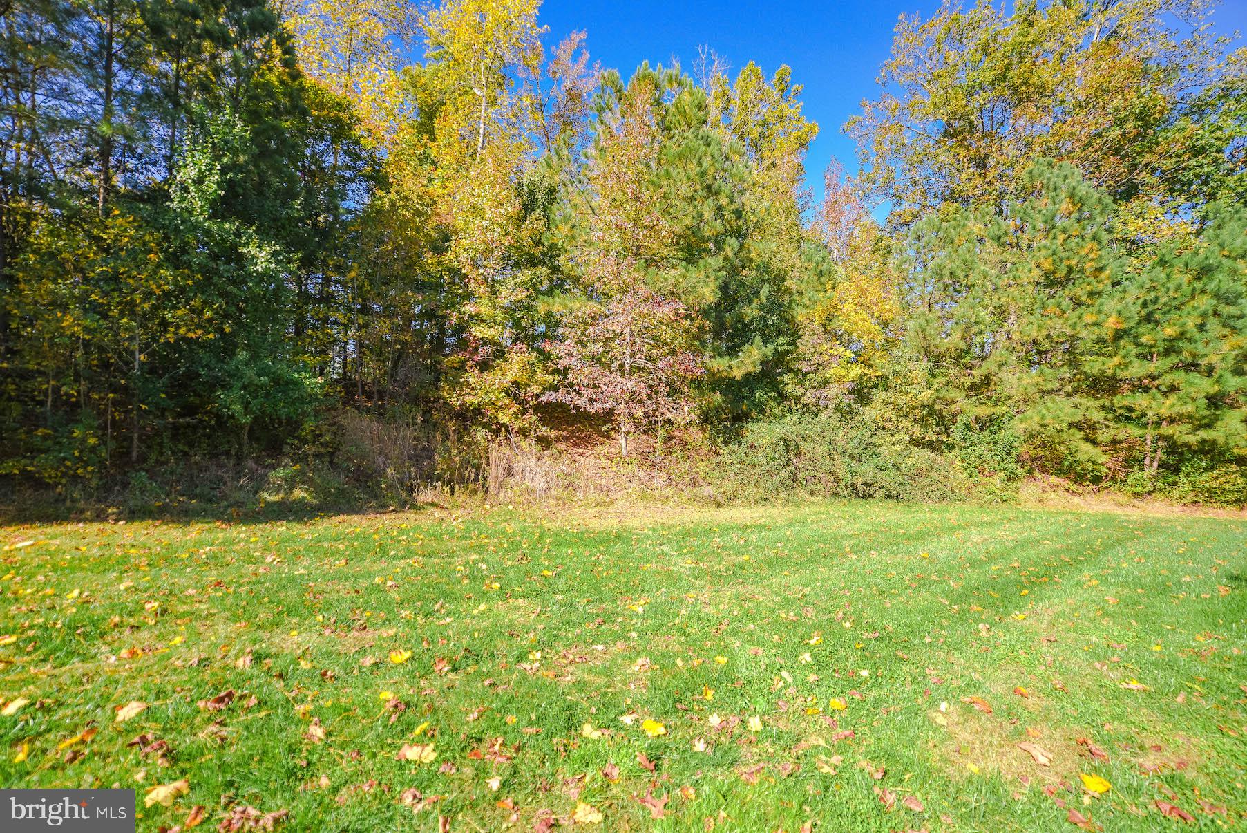 CHAPLINE PLACE - Residential