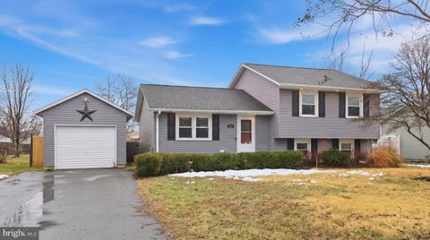 Photo of 132 Irons Avenue, MILLSBORO, DE 19966 (MLS # DESU2106994)