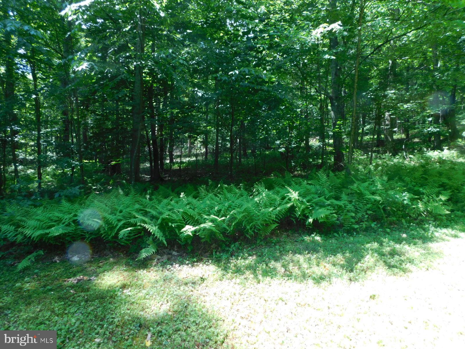 SUNRISE COVE - Residential