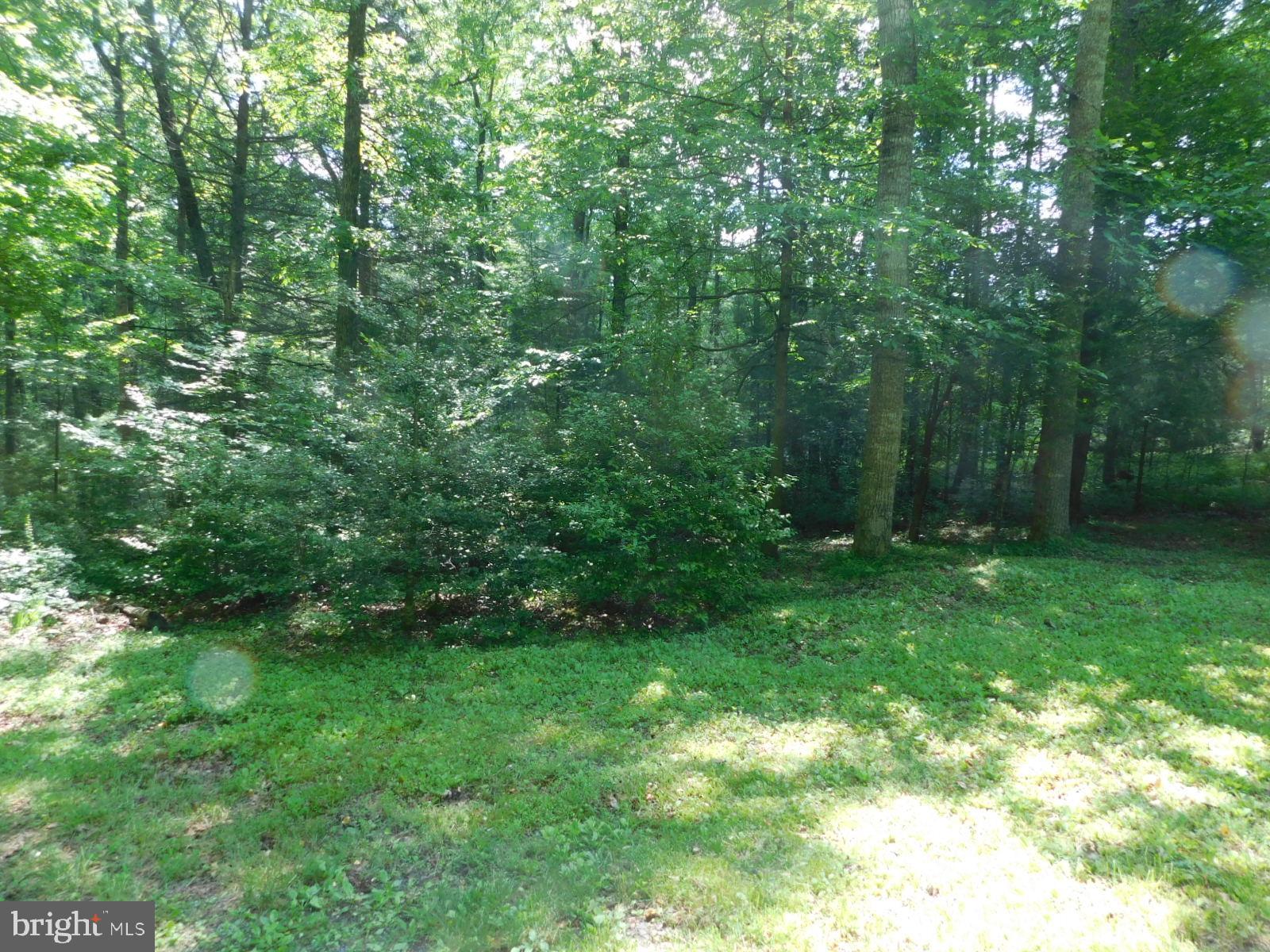 SUNRISE COVE - Residential