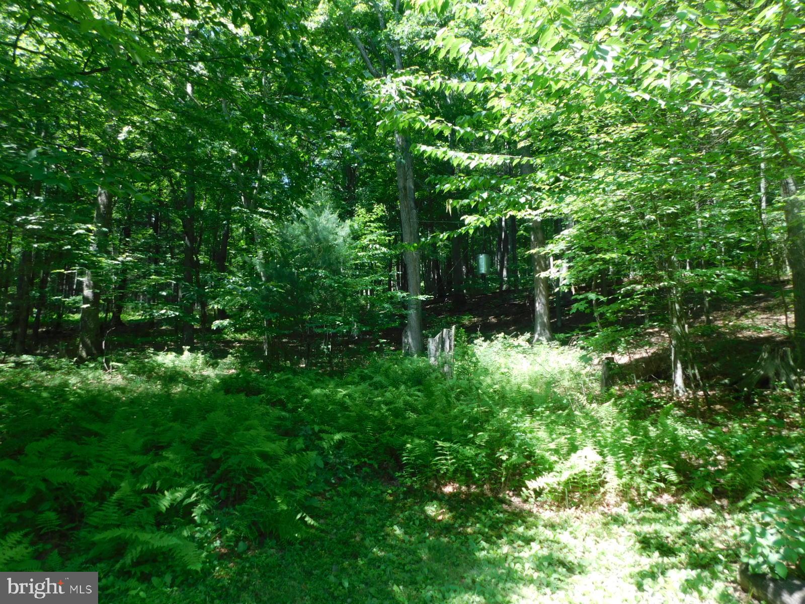 SUNRISE COVE - Residential