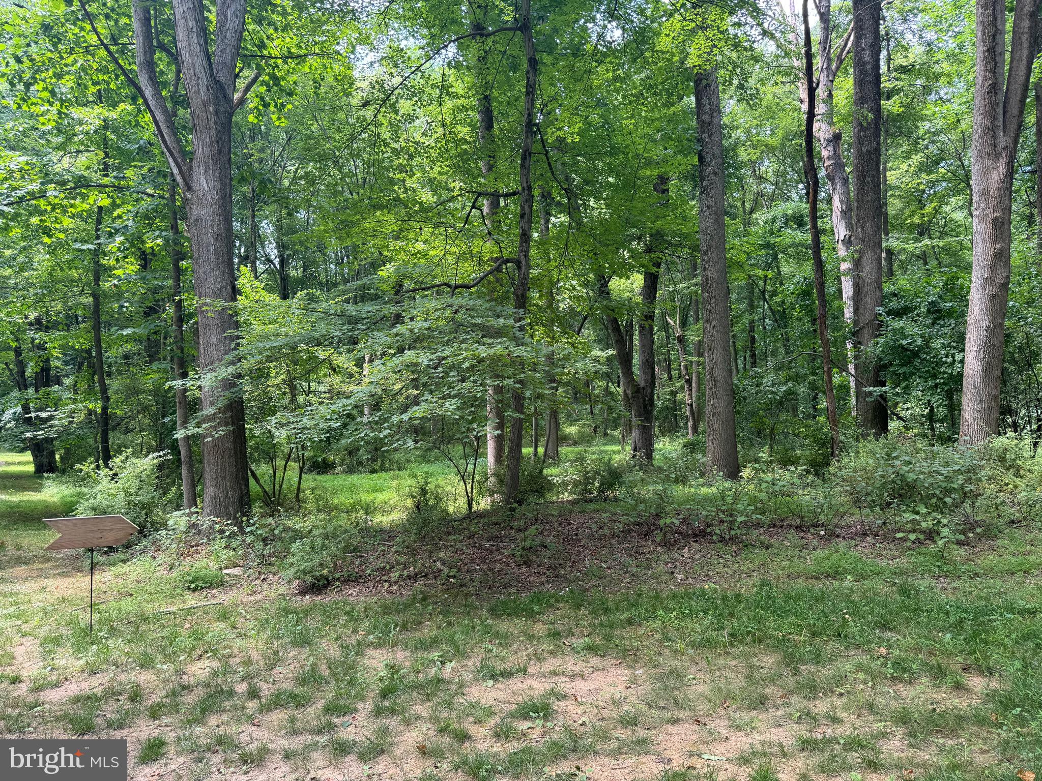 13020 BRIGHTON DAM ROAD