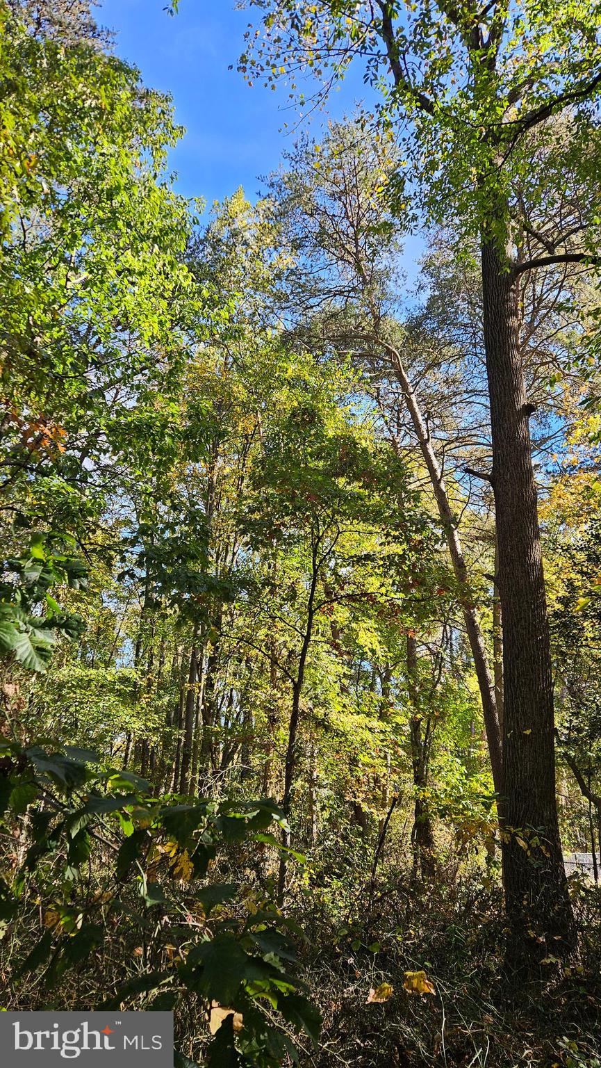 WETHERSFIELD - Residential