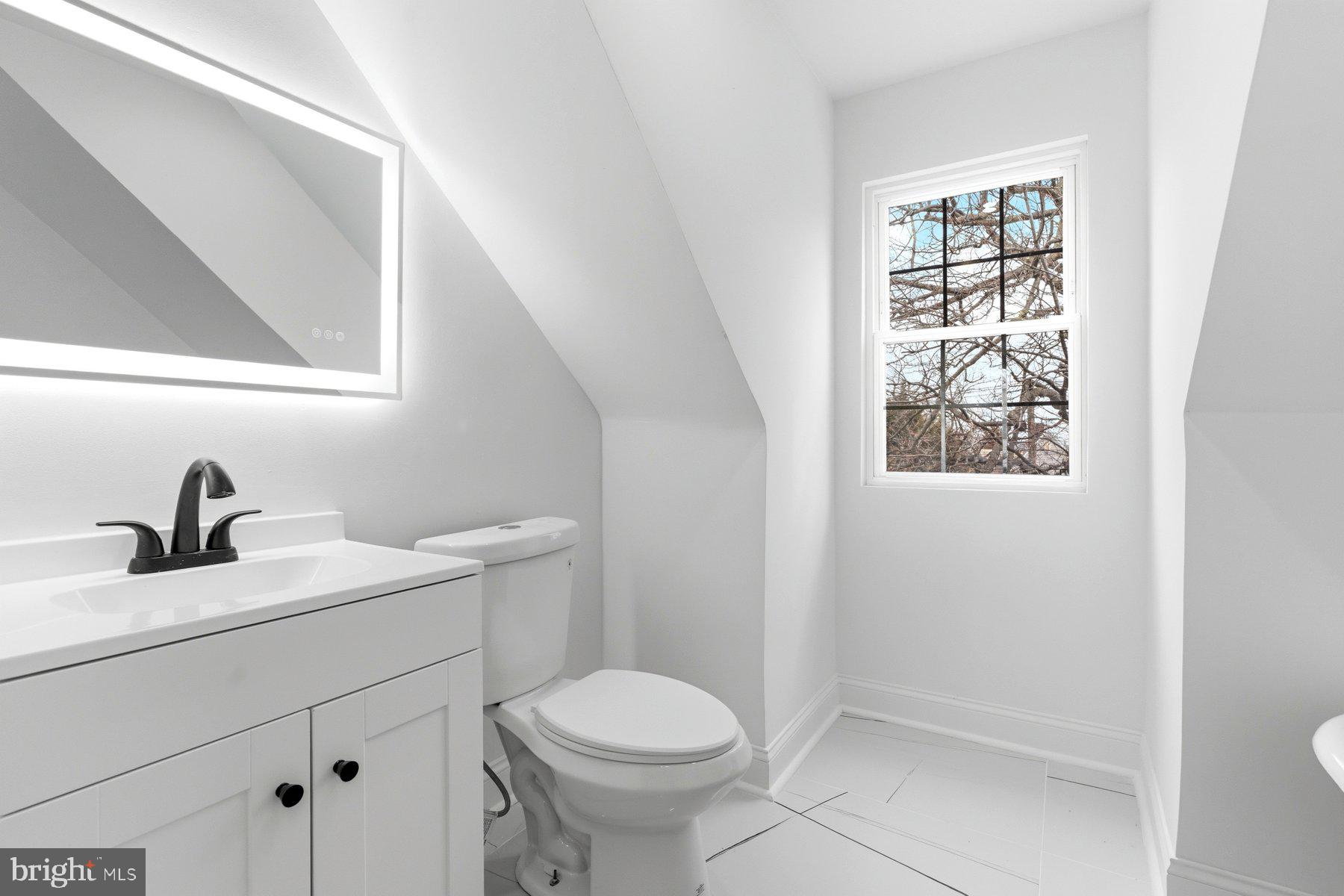 ASHBURTON HISTORIC DISTRICT - Residential