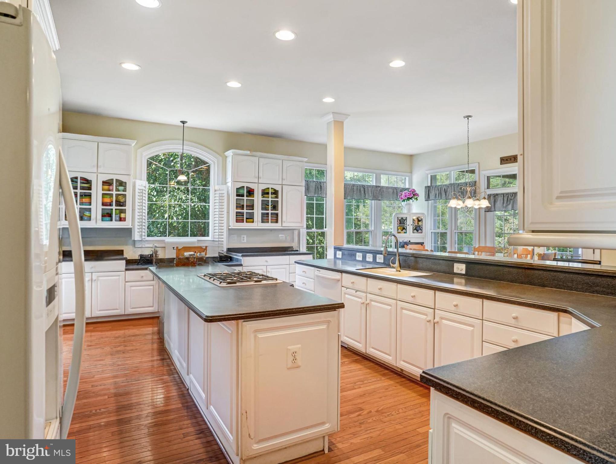 25072 GAZELLE COURT
