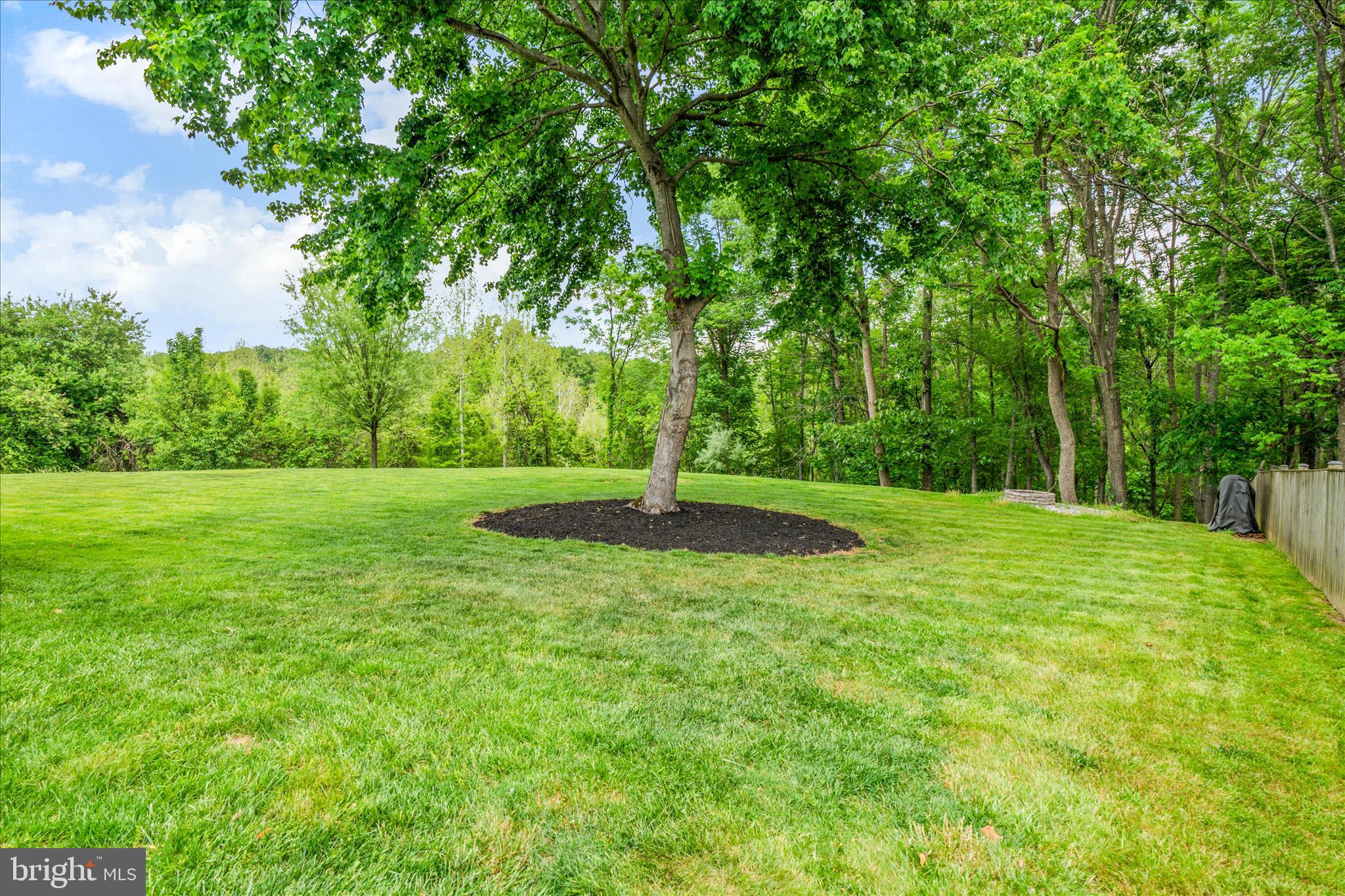 EAGLEHEAD SUMMERFIELD - Residential