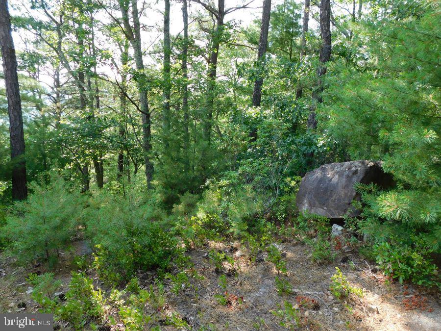 BUCK RIDGES (FORMERLY TREASURE MOUNTAINS) - Residential