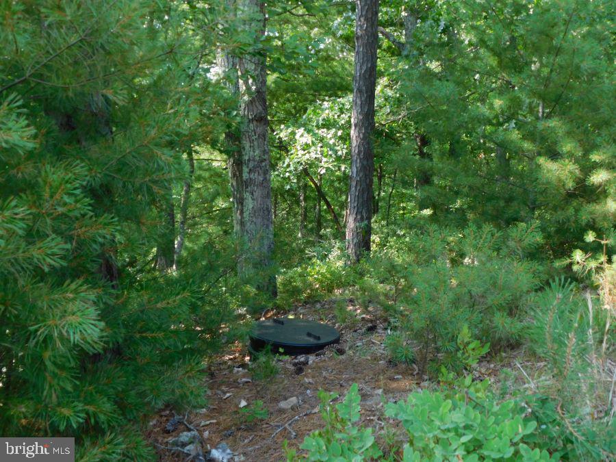 BUCK RIDGES (FORMERLY TREASURE MOUNTAINS) - Residential