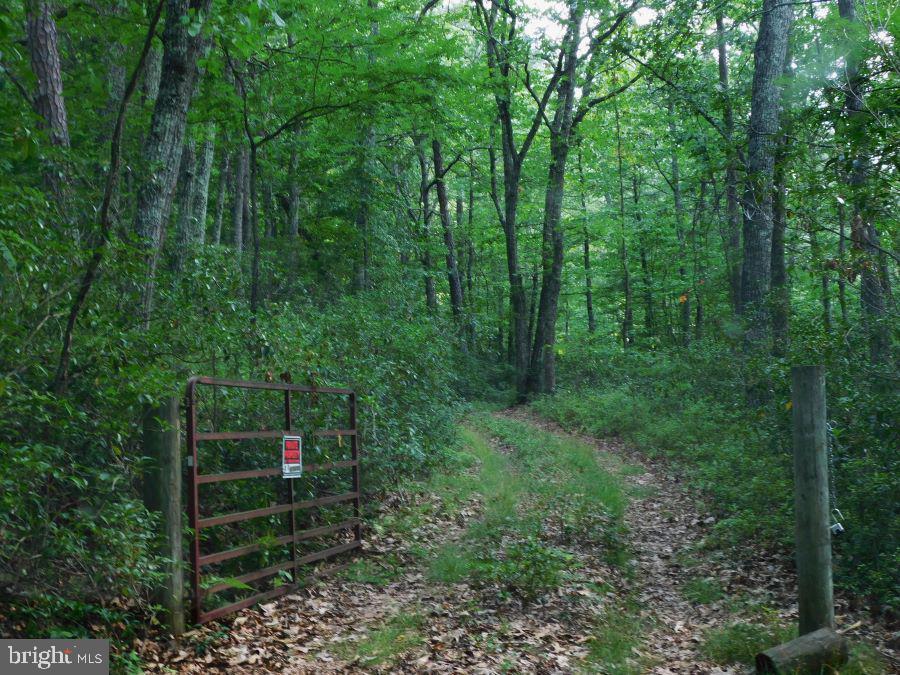 BUCK RIDGES (FORMERLY TREASURE MOUNTAINS) - Residential