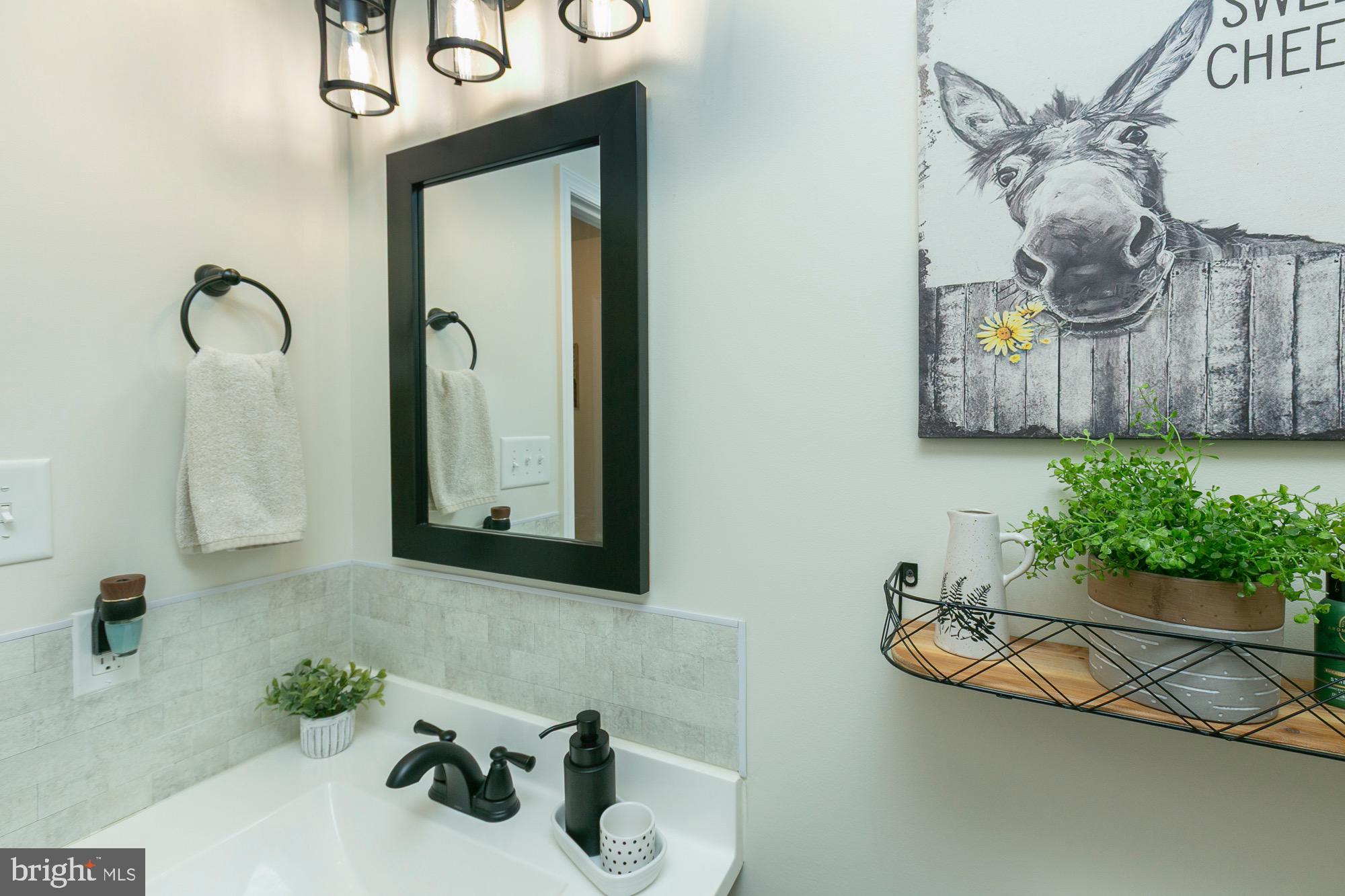 THE SPRINGS AT SHEPHERDSTOWN - Residential