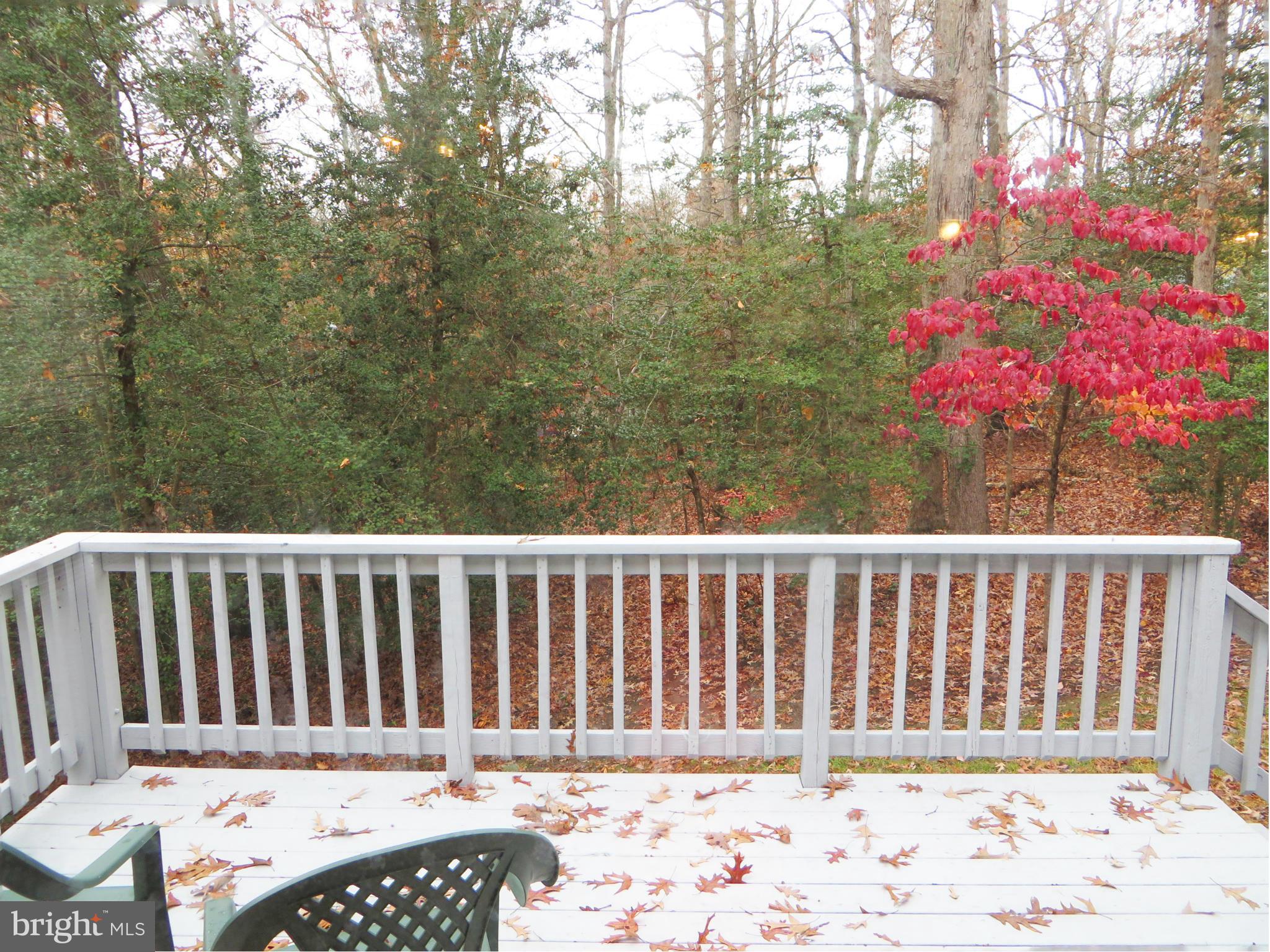 HICKORY NUT OF WILDEWOOD - Residential Lease