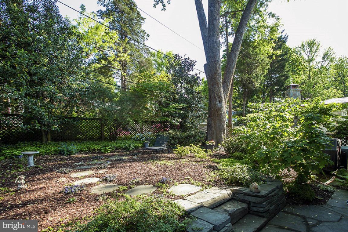 CHEVY CHASE - Residential