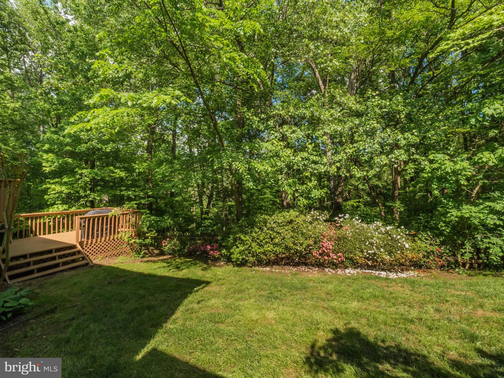 OWINGS HILLS - Residential