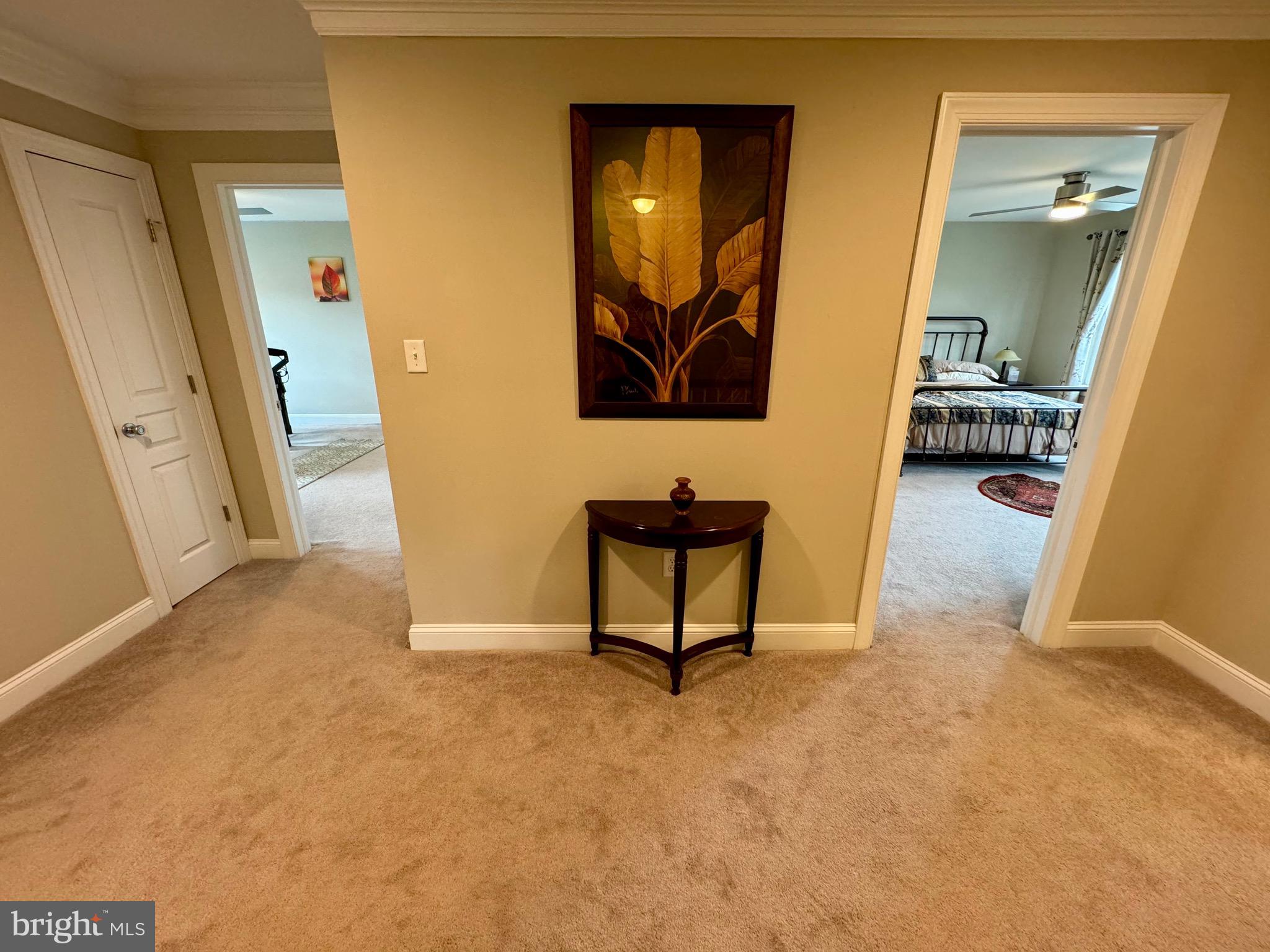 MERIDIAN CROSSING - Residential