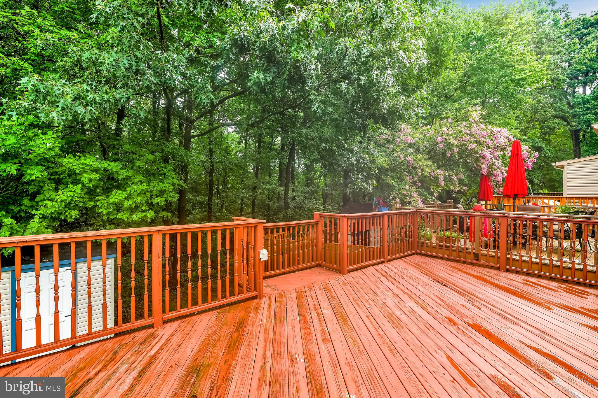 NEW HAVEN WOODS - Residential