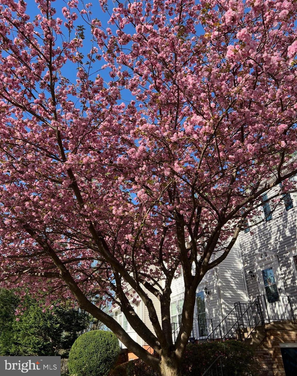 WOODWALK - Residential